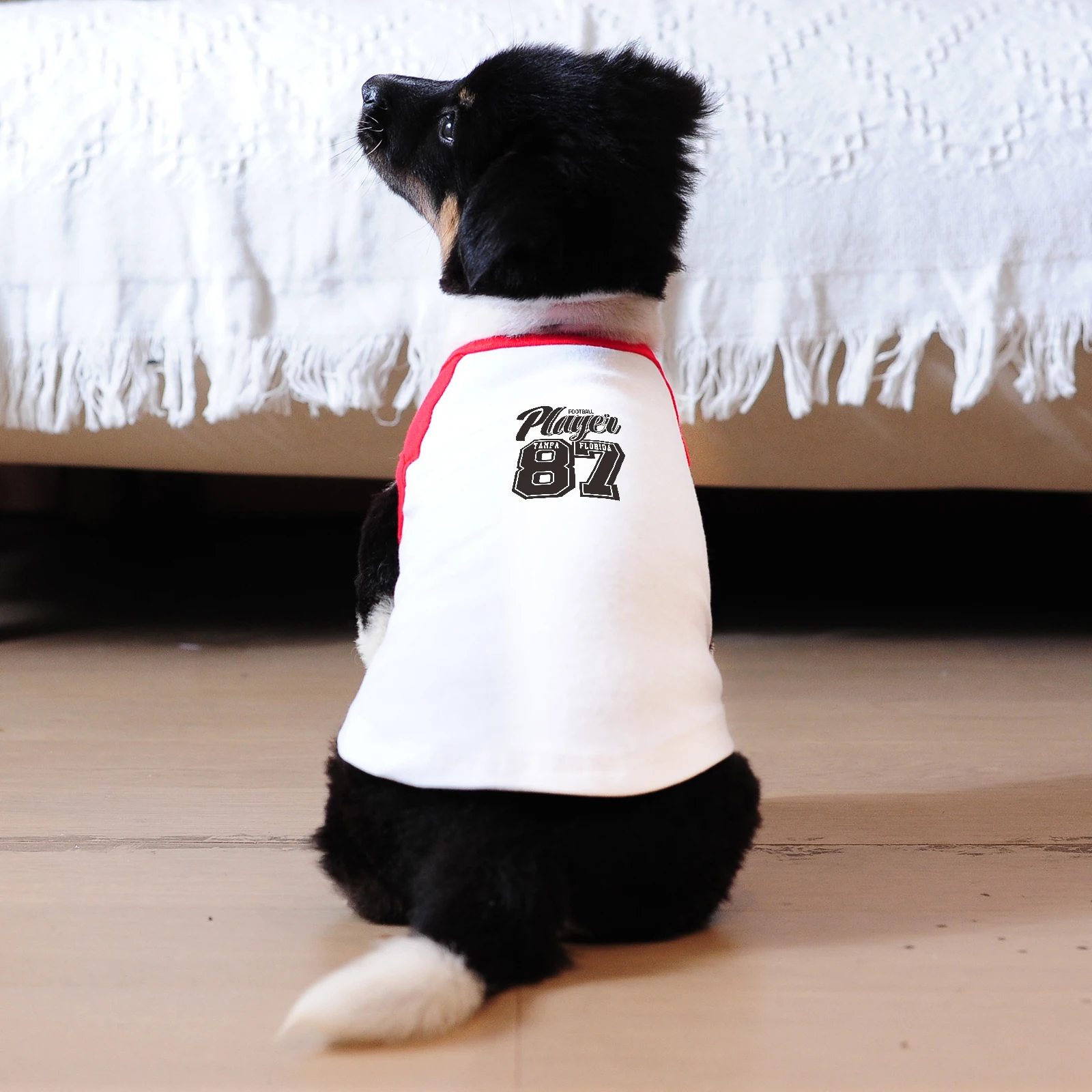 

Printed Dog Clothes Sleveless Tshirt Vest Summer Fine Breathable Fabric and High Quality for Pets in All Sizes and Ages