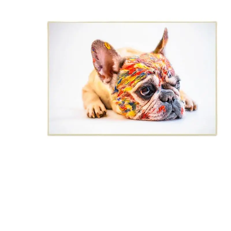 

Colored Dog Pictures Print Canvas Painting Cute Bulldog Art Posters and Prints Modern Wall Pictures for Living Room Home Decor