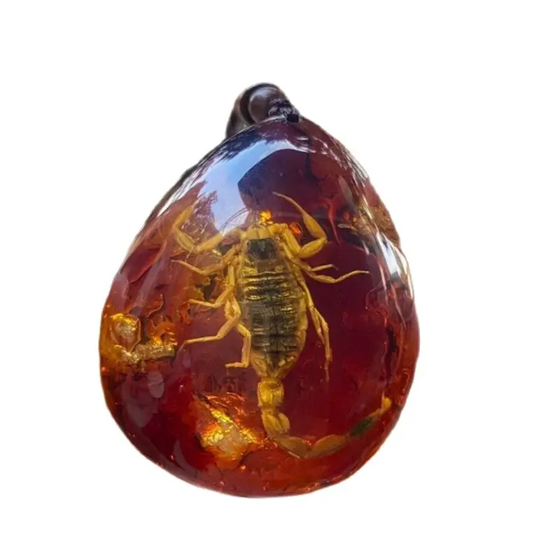 

Chinese Amber Pendant Necklace Natural Insect Scorpion Specimen