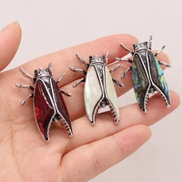natural shell insect brooches for women and men alloy couple insect animal brooch pins for suits sweater dress hat scarf pins