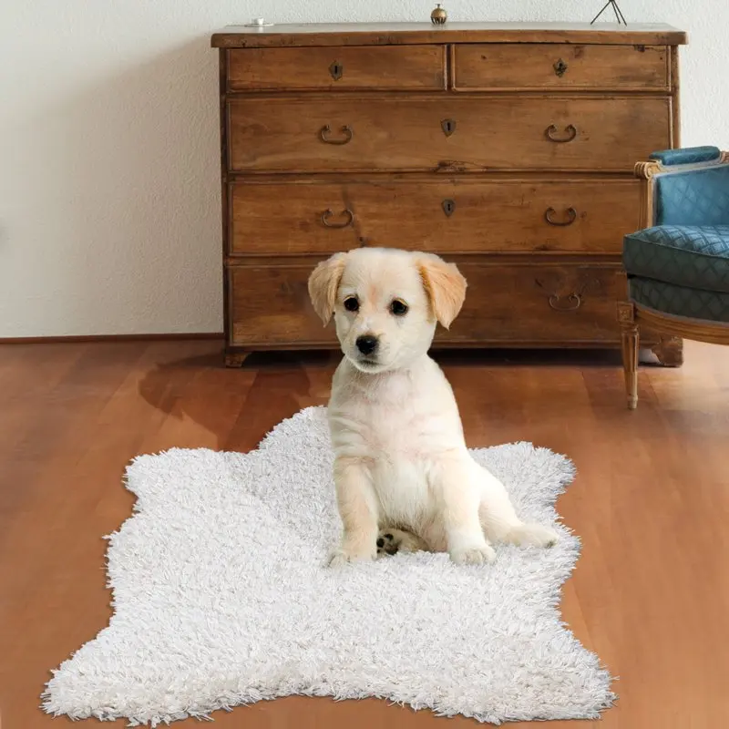 

Elegant 2' x 3'3" Ivory Non-Slip Rubberback Solid Soft Indoor Accent Rug for Your Home Decor