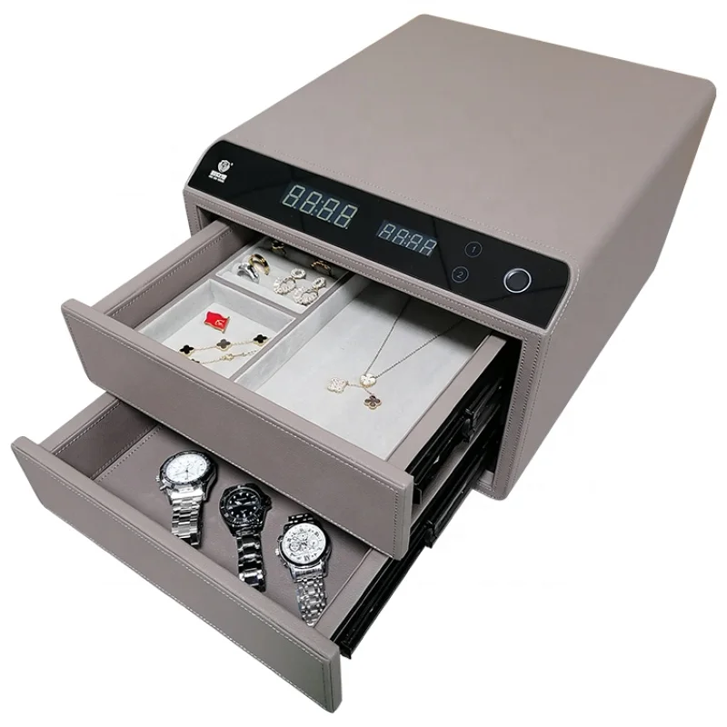 Рисунок 2 - Скрытый умный биометрический Безопасный