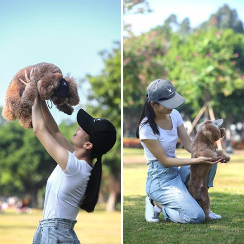 Модная бейсбольная шляпа для домашних животных с отверстиями ушей