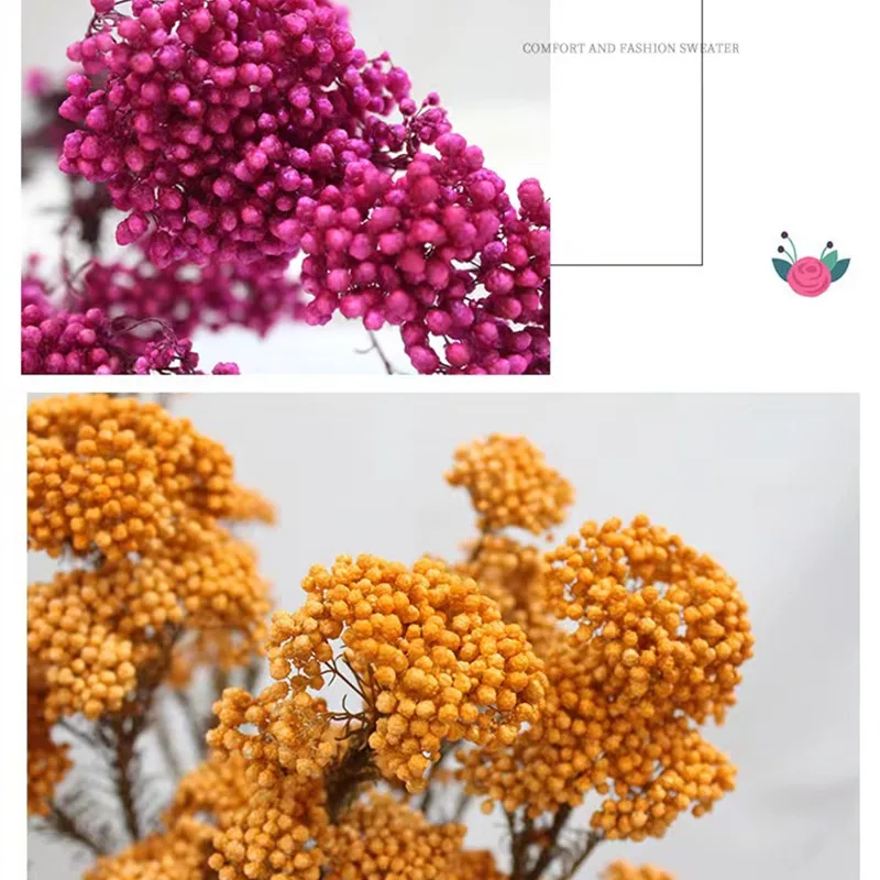 

50g Natural Millet Fruit Dried Flower Home Decor Items With Free Shipping Small Flowers For Crafts Bridal Wedding Bouquet Gift