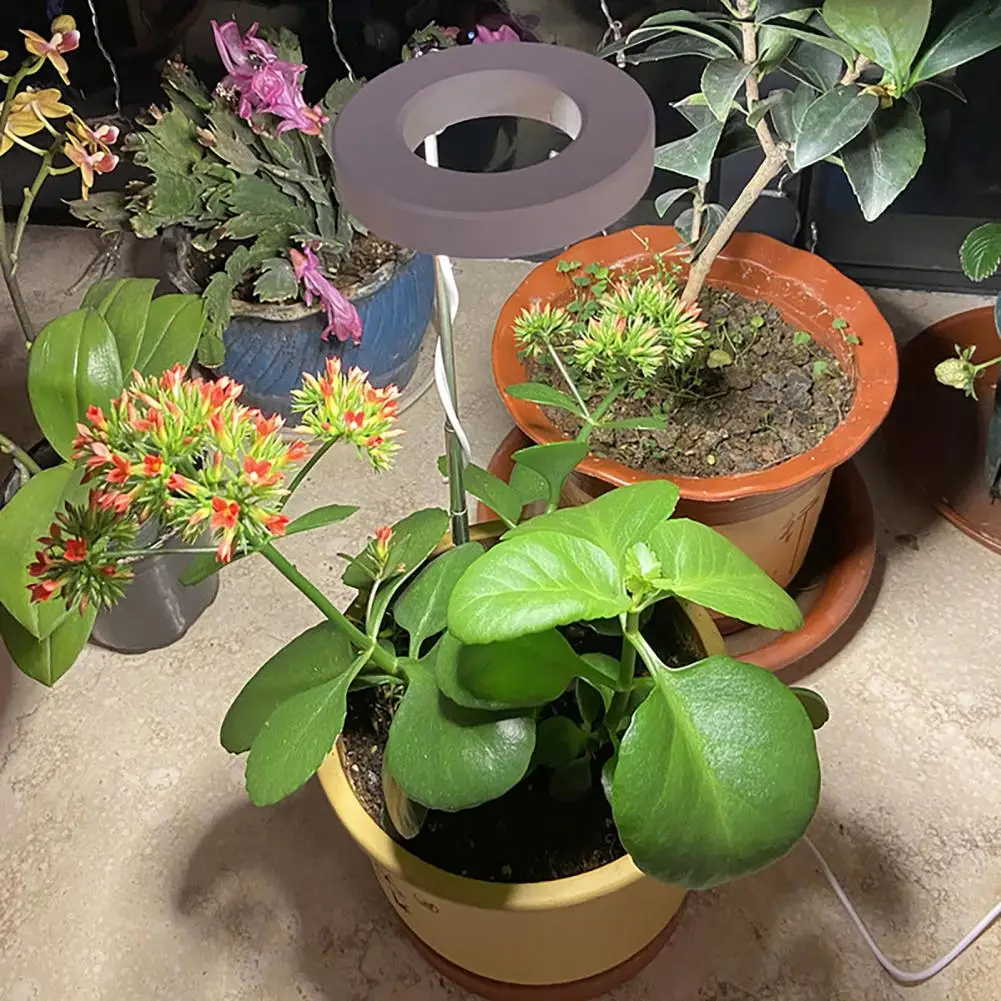 

Orchid Grow Light Efficient Full Spectrum Led Grow Lights for Flower Bonsai Plants Wide Illumination Range Usb-powered Angel