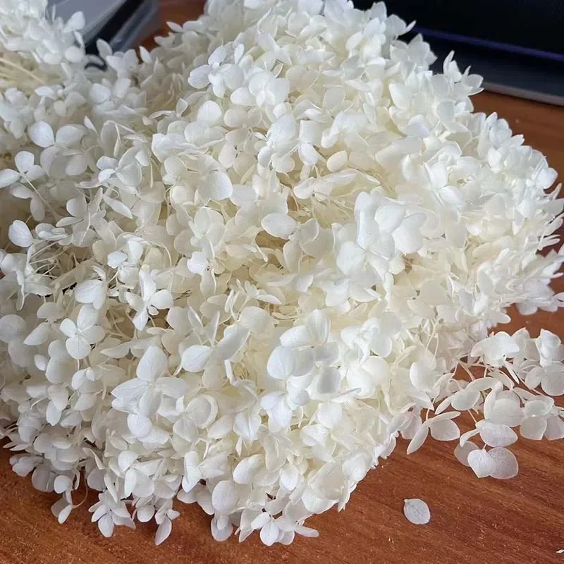 

Консервированные цветы гортензии NYAConfetti