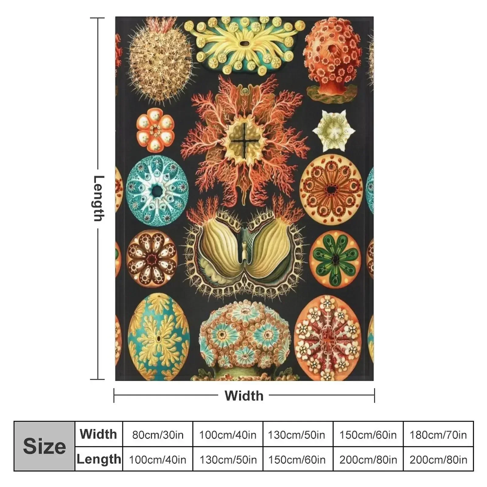 Одеяло Artforms in Nature от Ernst Haeckel тонкие одеяла из фланелевой ткани