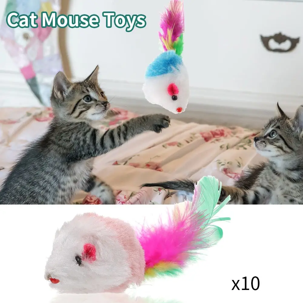 

10Pcs Assorted Color Funny Catnip Feather Tail Interactive Cat Toy Mice Rattle Set Cat Mouse Toys Kittens