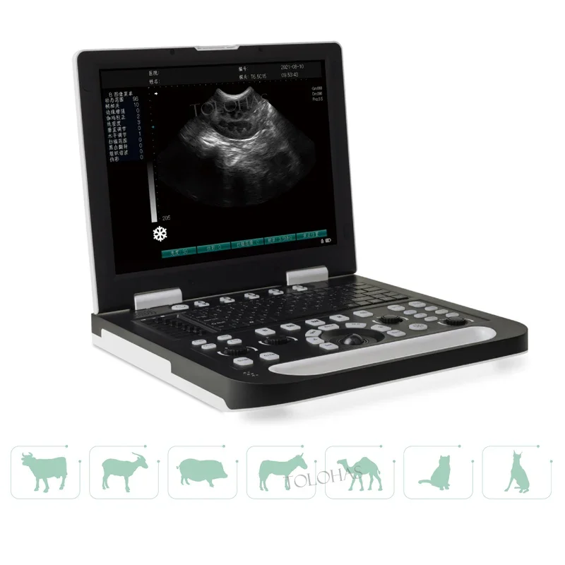 LHWN50 Ветеринарный ультразвуковой сканер Портативный ветеринарный аппарат USG для
