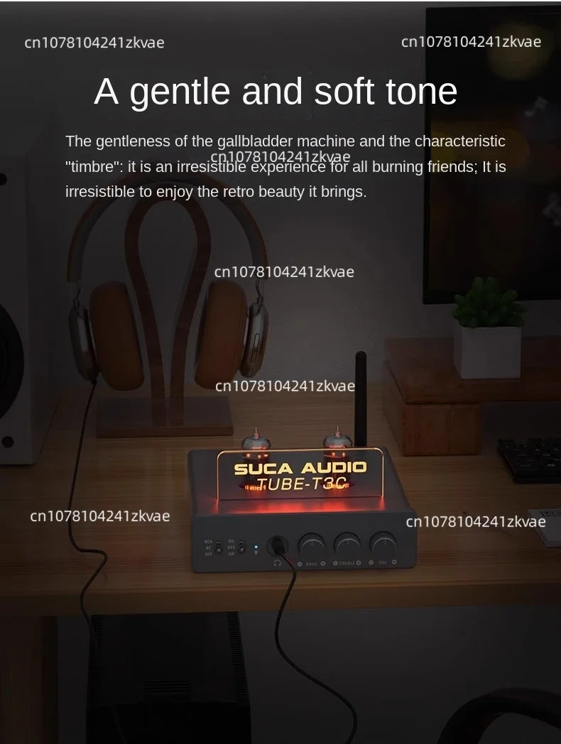 Усилитель мощности домашний аудиоусилитель с Bluetooth 5 1 Малый ушной усилитель