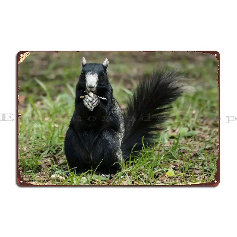 

Это Америка, металлический плакат с табличкой, кухня, Забавный дизайн, персонаж, Фреска, жестяной плакат