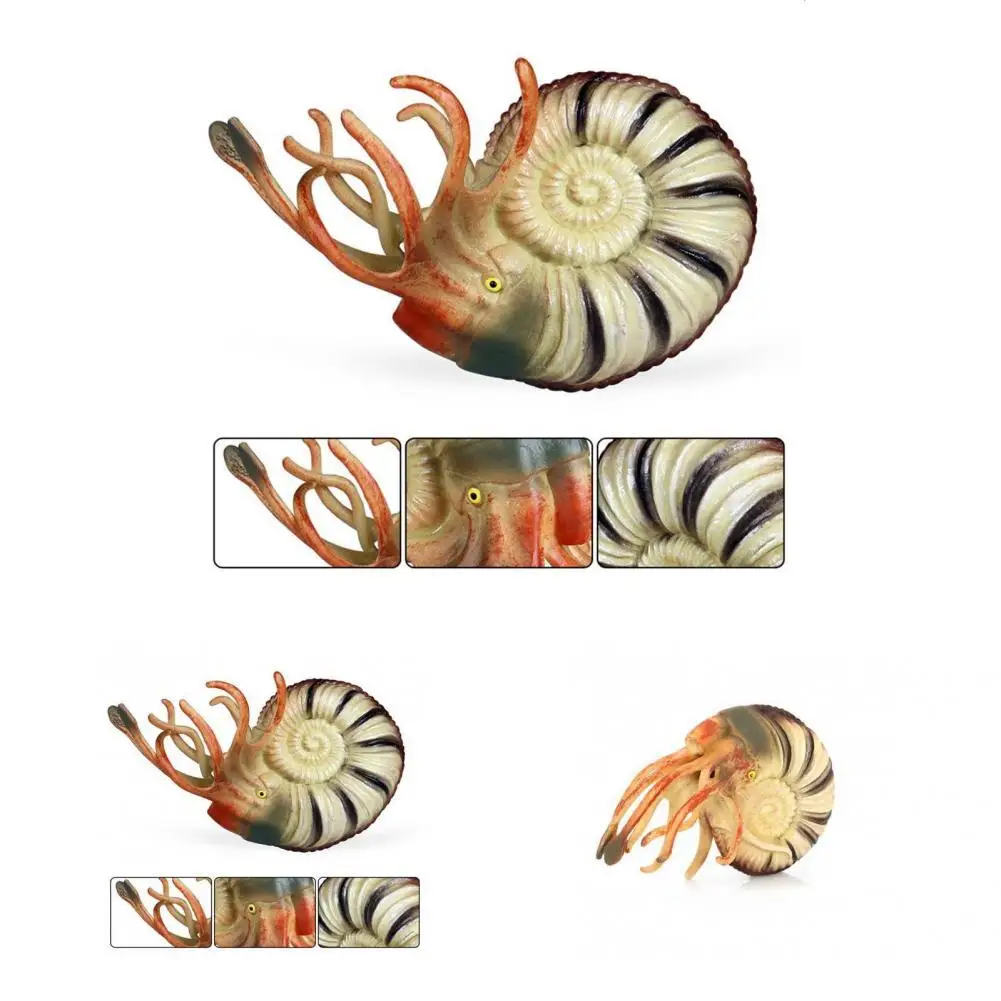

Fadeless Clear Lines Fine Workmanship Nautilus Mini Ocean Animal Model Toy Deep Sea Animal Figures for Decor