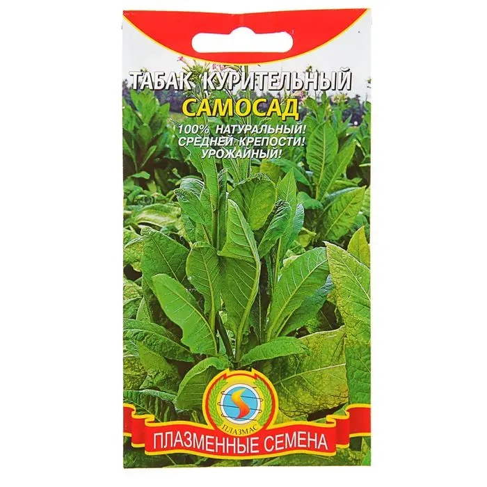 Семена Табак курительный &quotСамосад&quot 0.01 гр. | Дом и сад