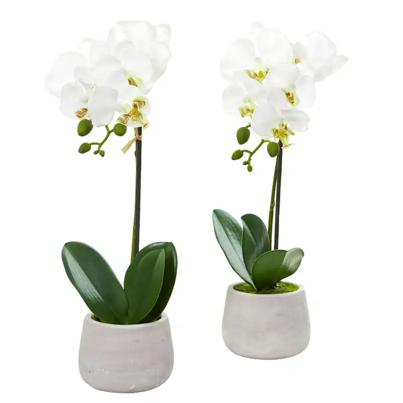 

Orchid Artificial Flower Arrangement (Set of 2), White
