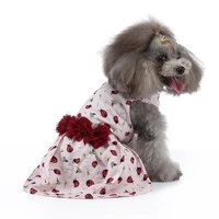 puppy womens summer cute kawaii luxury clothes 2022 for small breeds dog cats fancy evening lolita wedding dress poodle chihuah