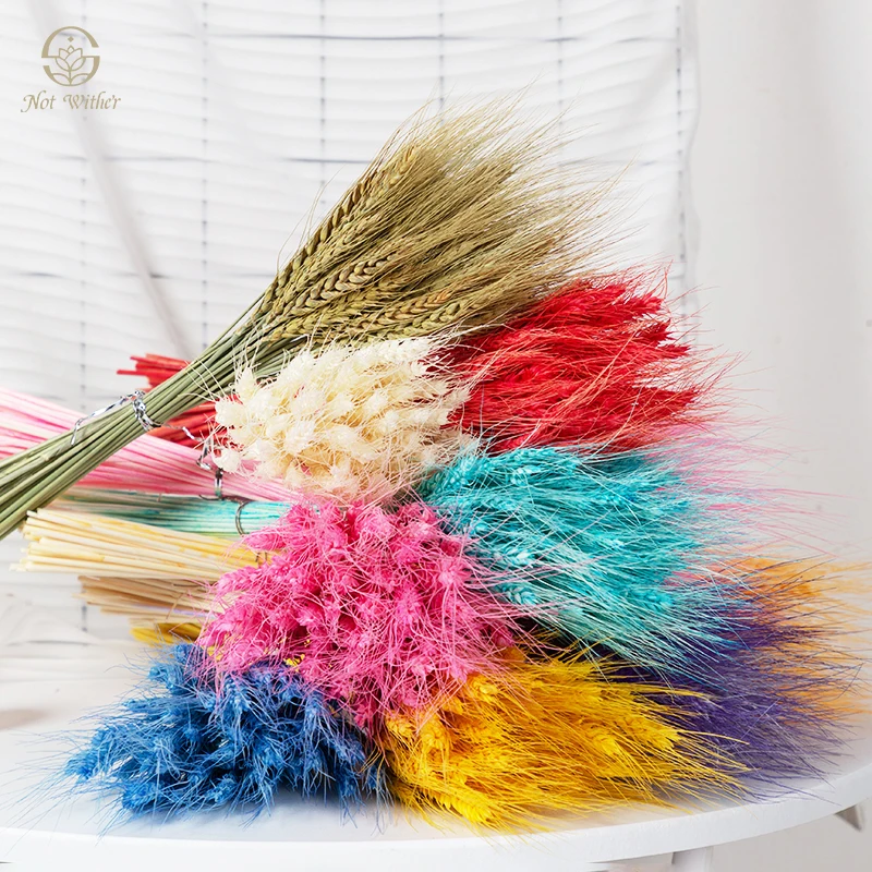 

100PCS Dried Flower Colored Wheat Ear Country Wedding Decoration Nordic Home Decor Garden Ornament Accessories Flores Secas