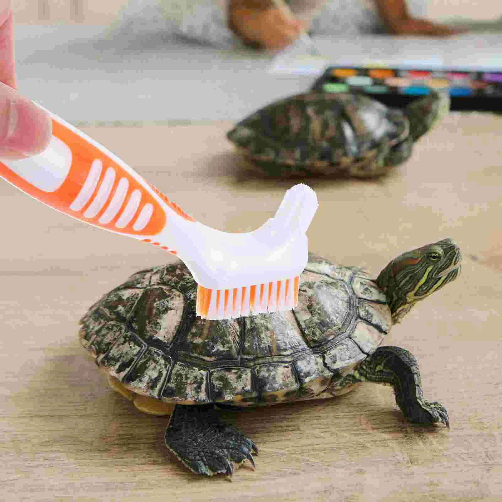 

Turtle Shell Brush Tortoise Shell Cleaning Brush Double-Sided Turtle Shell Cleaning Brush