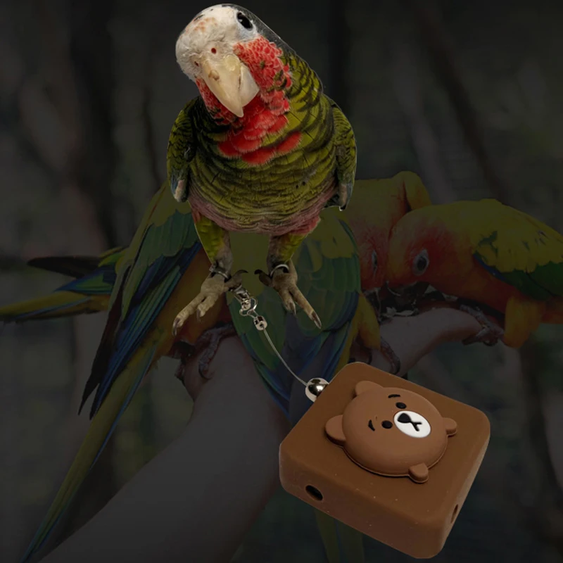 Ультралегкий поводок для полета попугая-безопасная и удобная тренировочная