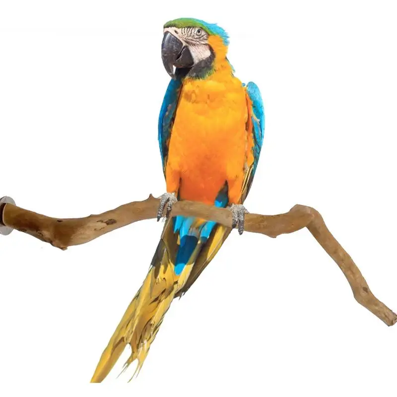 

Natural Parrot Perch Bird Stand Tree Stick Paw Grinding Fork Parakeet Climbing Bird Standing Branches Toys Birdcage Accessories