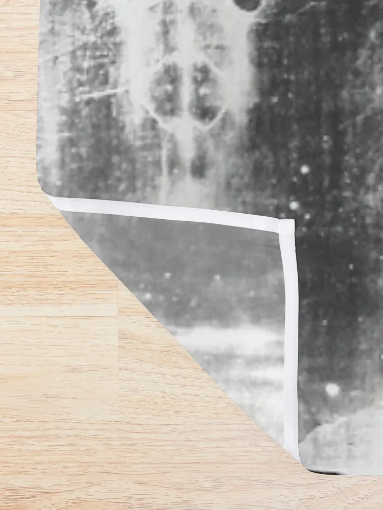 Кожух Турин священный кожух Sacra Sindone Санта- отрицательное изображение 1828