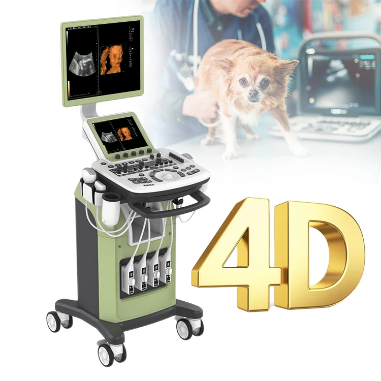

ZONCARE-P7 trolley 3d 4d veterinary medico maquina de ultrasonido color doppler