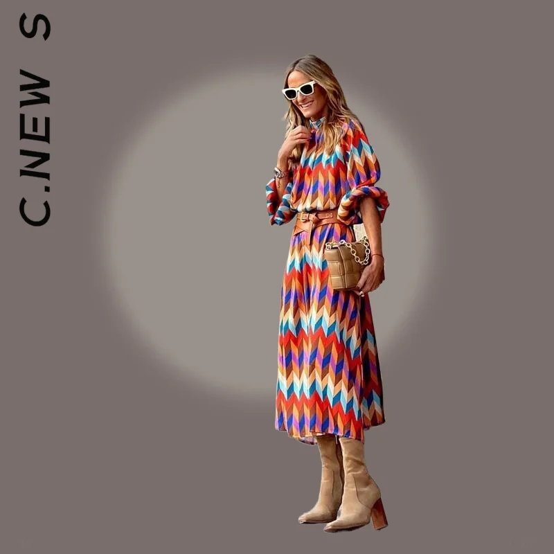 Женское длинное платье с высоким воротом винтажное принтом и рукавом 2022 в