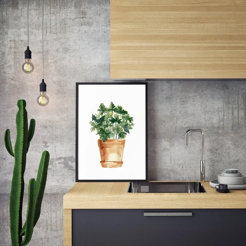 Акварельные травы орегано петрушка розмарин постеры и принты Картина на холсте