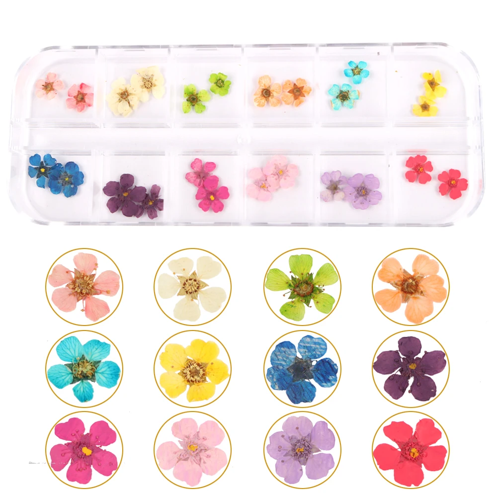 

12 Color Nail Art Accessories Stickers Color Big Dried Flowers Handmade DIY Nail Applique Accessories 24 Pieces Nail Decoration