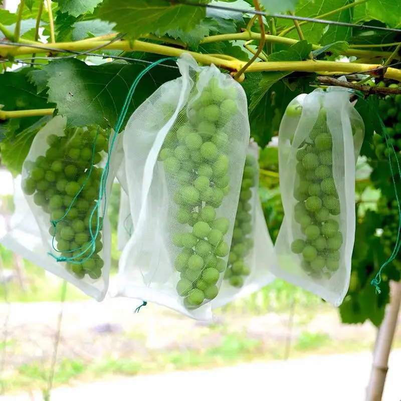 

100pcs Fruit Grow Bags for Strawberry Grapes Netting Mesh Vegetable Plant Protection Bag for Pest Control Anti-Bird Garden Tools