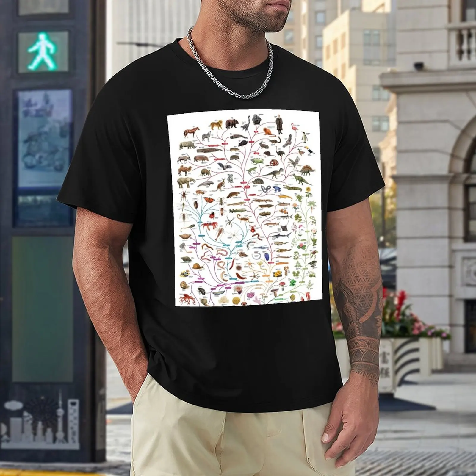 Футболка Darwinian Evolution с деревом жизни черные футболки футболка животным принтом