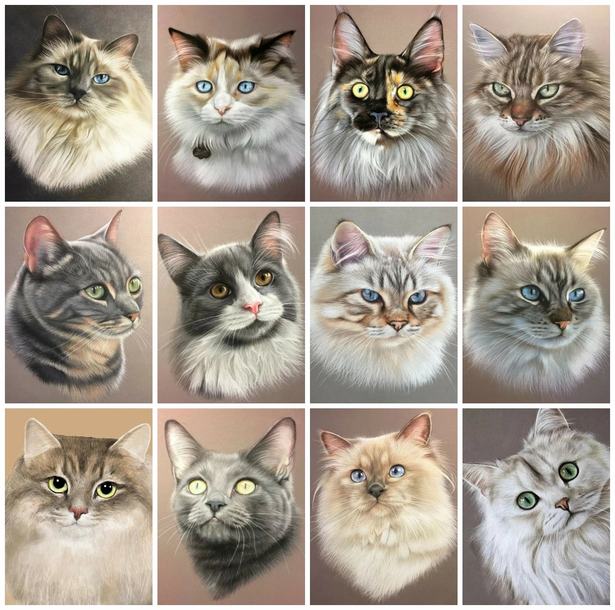 

AZQSD Cat Animal Paint By Number Canvas Diy Full Kits Framed 60x75cm Colorful By Numbers Home Decor HandPainted DIY Gift