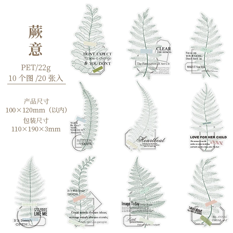 

Натуральные листья папоротника для декорирования