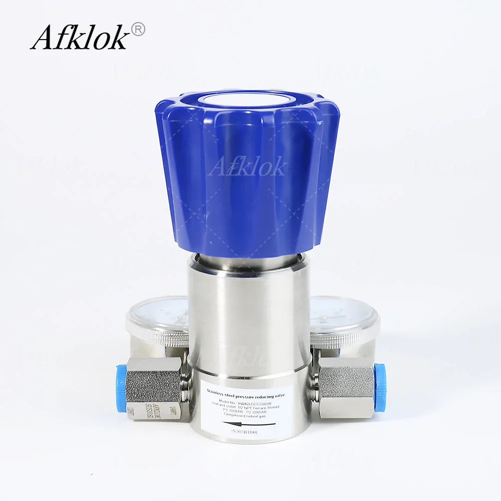 RW42 Редукционные клапаны высокого давления из нержавеющей стали 60 МПа для азота и