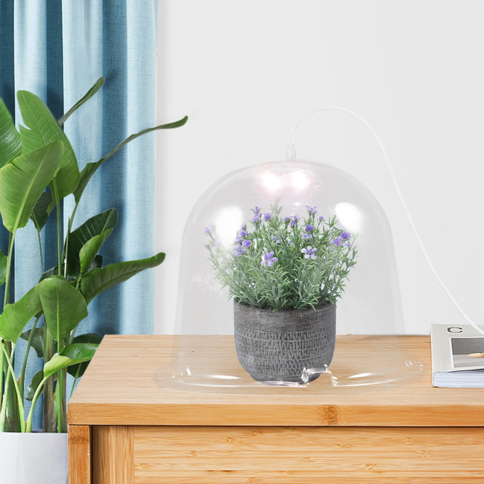 

Plastic Plants Protector Flower Protective Cover Protection Covers Mini Garden Cloches