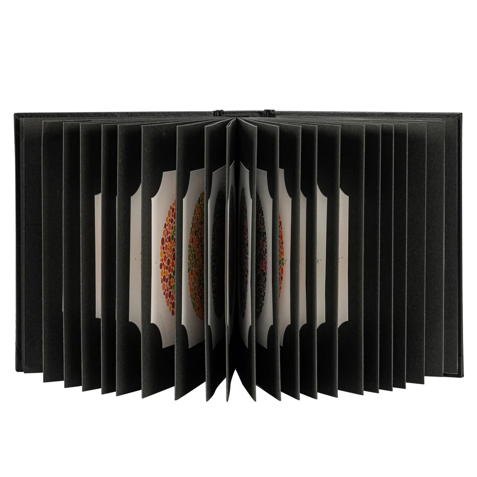 Высокое качество горячая Распродажа новинка 2024 года книга Ишихара 38 пластин для