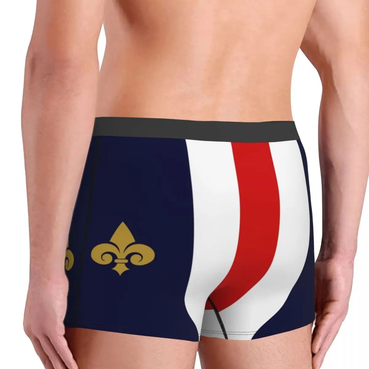 Нижнее белье Fleur De Lis на заказ с флагом Франции мужские роскошные трусы-боксеры