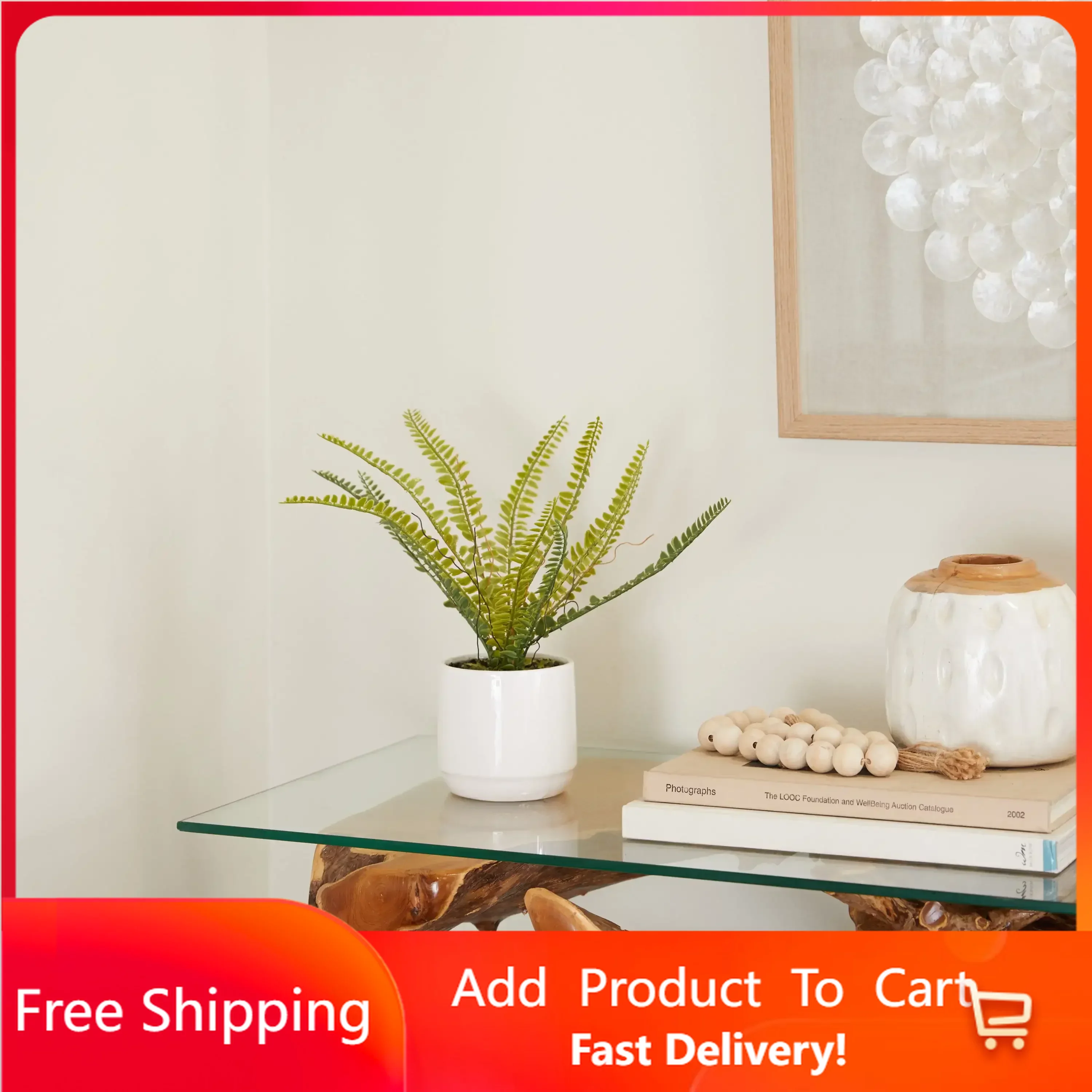 

The Novogratz 12" Artificial Fern Plant in Realistic Leaves and White Ceramic Pot Rapid Transit