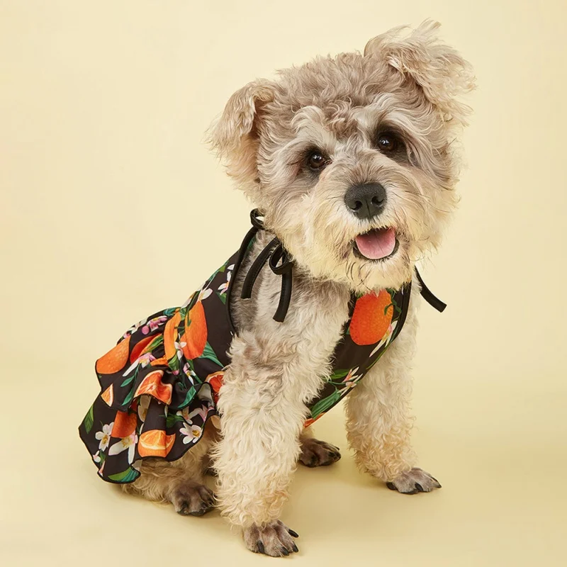 

Платье для собак, крутая дышащая одежда без рукавов, платье-комбинация для маленьких собак, летняя одежда, праздничный костюм для питомца