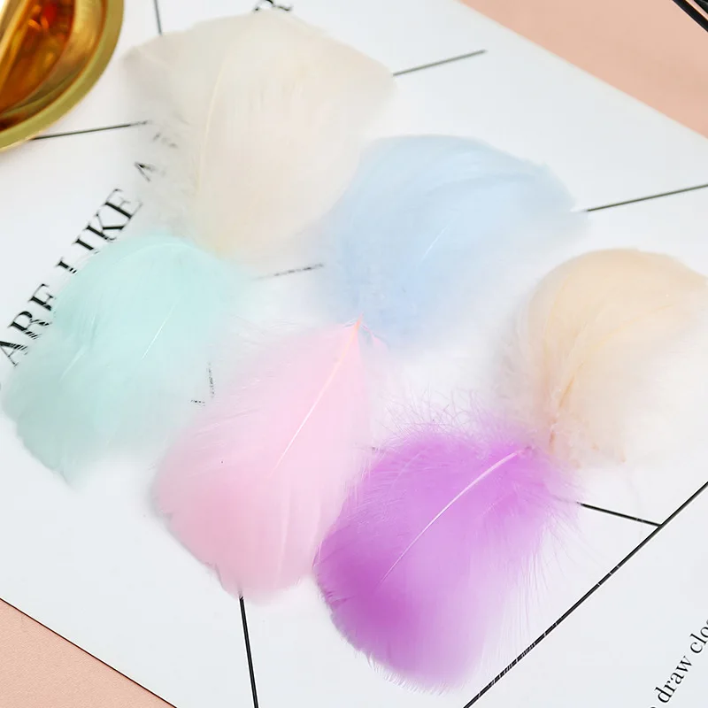

Birthday Party Decorative Feather Maca Color Floating DIY Color Bobo Ball Deco Balloons Filler Parties Supplies Colorful Deco