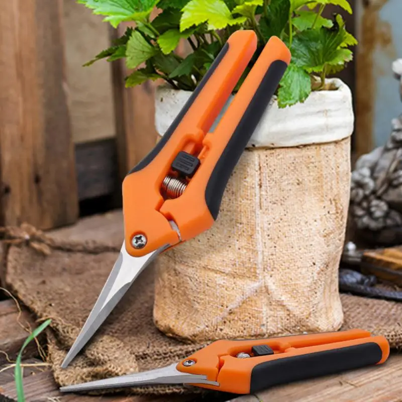 

Garden Scissors Shears Tools Gardening Tools Fruit Picking Household Potted Weed Stainless Steel Straight Elbow Pruning Shears