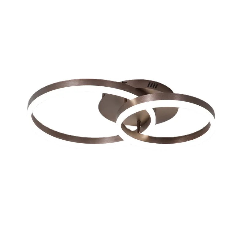 Creative Rings Modern Led Ceiling Lights Nordic Simple Living Room Study Bedroom Decoration Hallway Light Fixtures