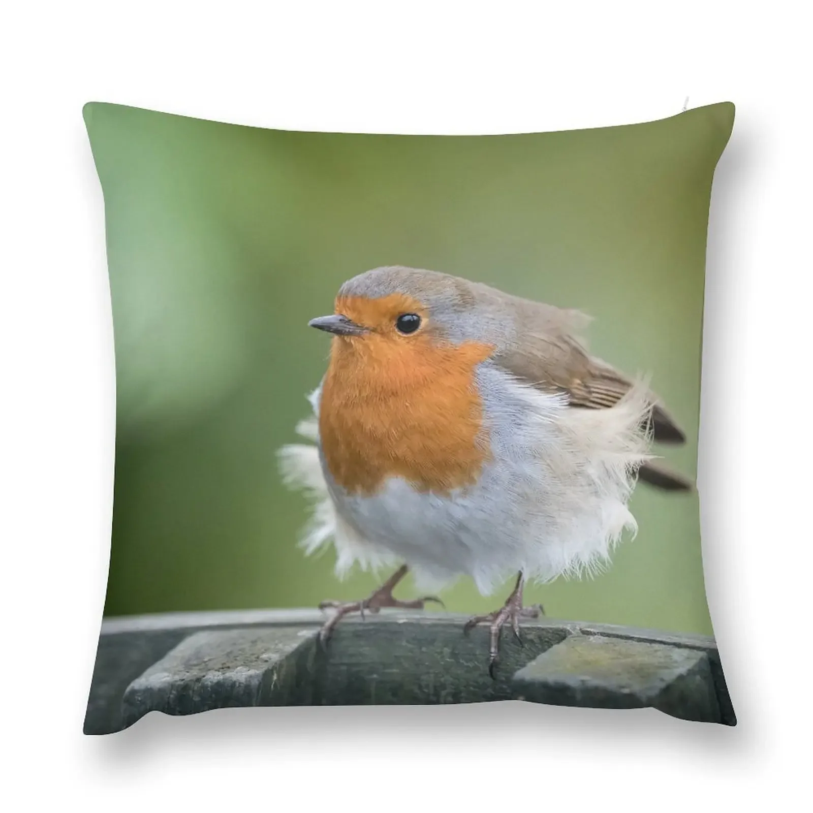 Европейский робин (Эрисакус Рубекула) Декоративная подушка Рождественские