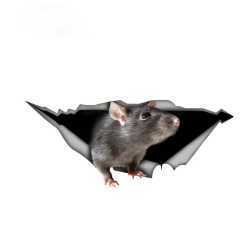 

Y406# Funny Rat Decal Laptop Pet Graphic Vinyl Window Bumper Car Stickers