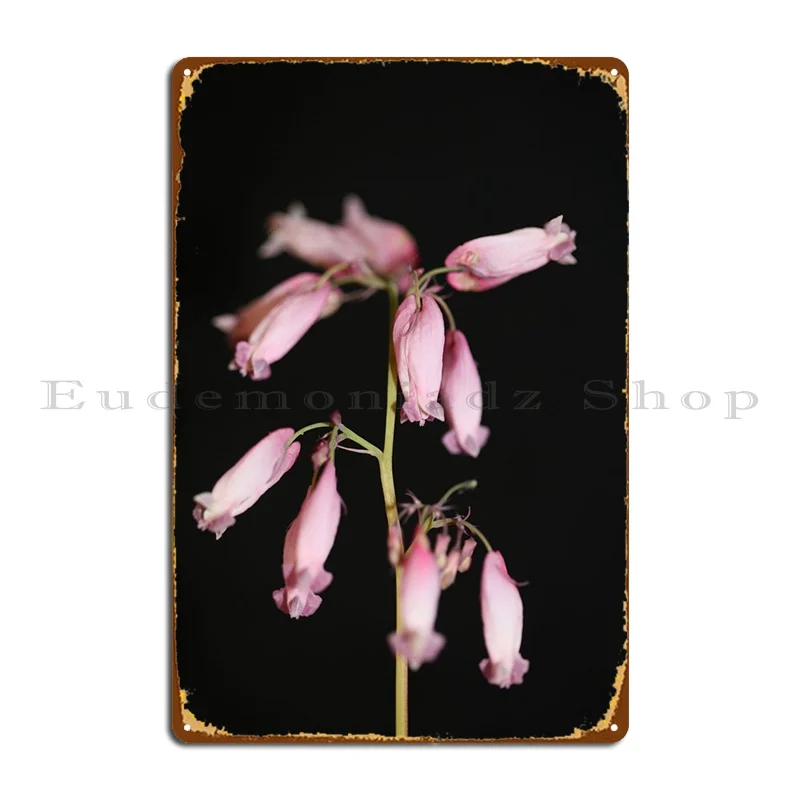 

Dicentra Flowering Macro Metal Sign Wall Decor Cave Wall Decor Character Garage Tin Sign Poster