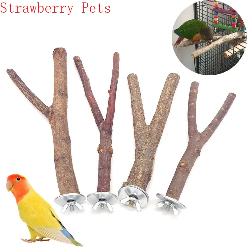 

Natural Wood Pet Parrot Raw Wood Fork Tree Branch Stand Rack Squirrel Bird Hamster Branch Perches Chew Bite Toys Stick