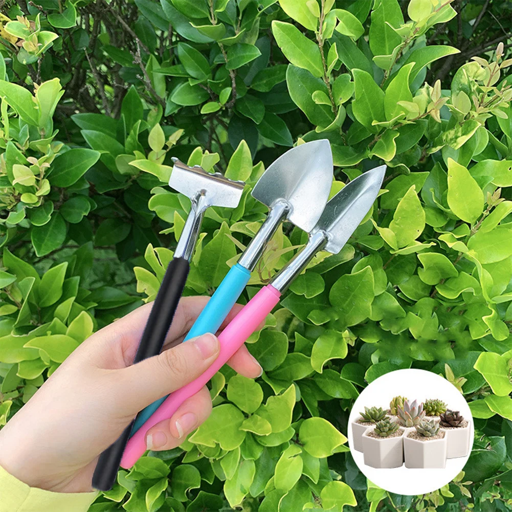 

3Pcs/Set Garden Mini Cultivating Transplanting Kit Plants Seedling Succulent Transplanter Shovel Rake Drilling Fertilize Tools