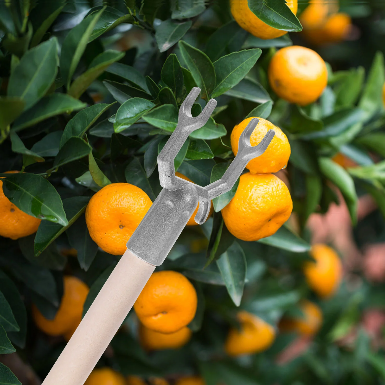 6 шт. пробки для ветвей колья и опоры деревьев фруктовая палочка наклона растений