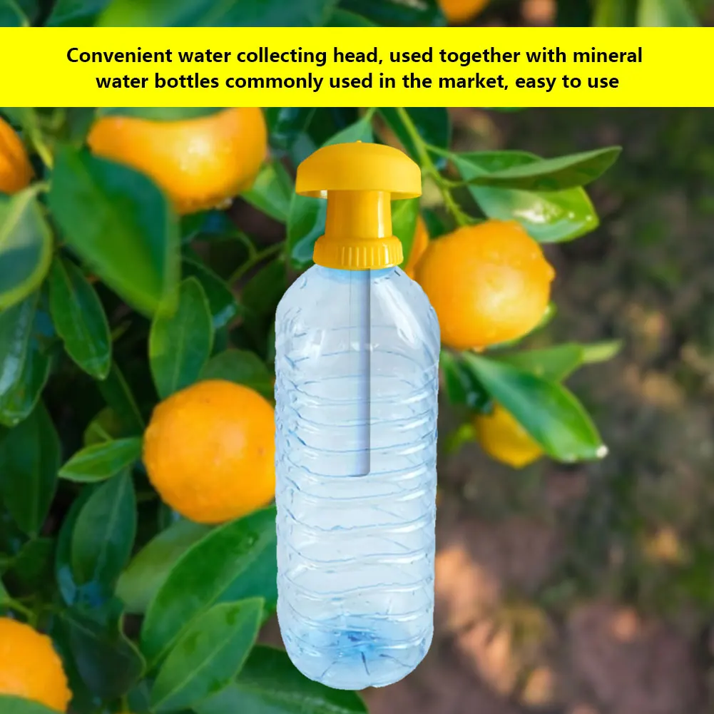 Ловец мух для насекомых желтый пластик противомоскитная ловушка фруктовых