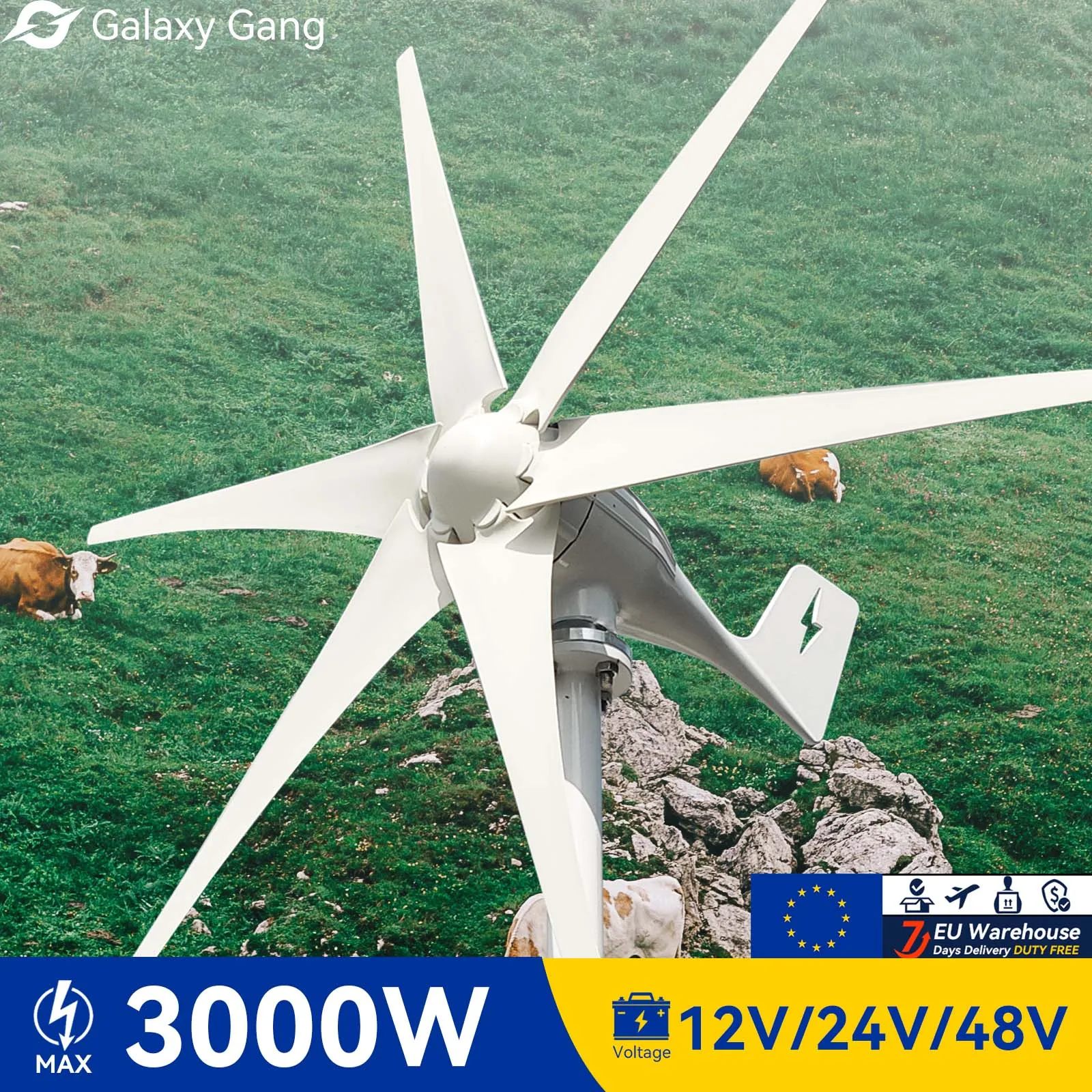 

Galaxy Gang 6 Blades Windmills Wind Turbine Generator Free Energy China Factory 3000W 12V 24V 48V With Mppt Charge Controller