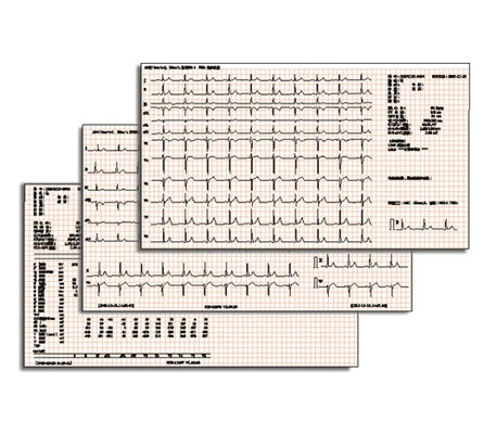 Высококачественная недорогая портативная цифровая 12-канальная свинцовая